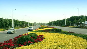 綠動磁州，健行未來 八項(xiàng)重點(diǎn)工程繪就園林縣城新畫卷